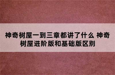 神奇树屋一到三章都讲了什么 神奇树屋进阶版和基础版区别